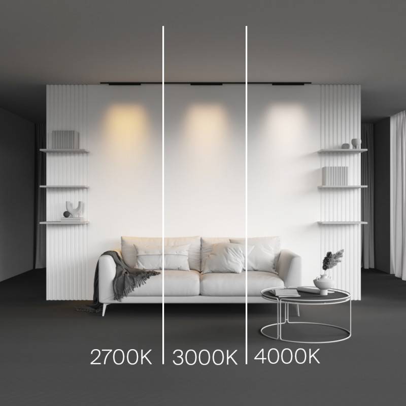 Светильник на шине Maytoni Technical TR193-1-20W4K-M-B