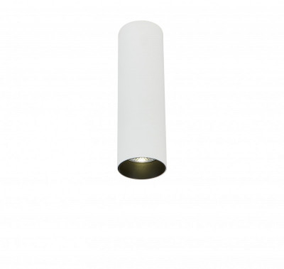 Накладной светильник Simple Story 2053-LED10CLW