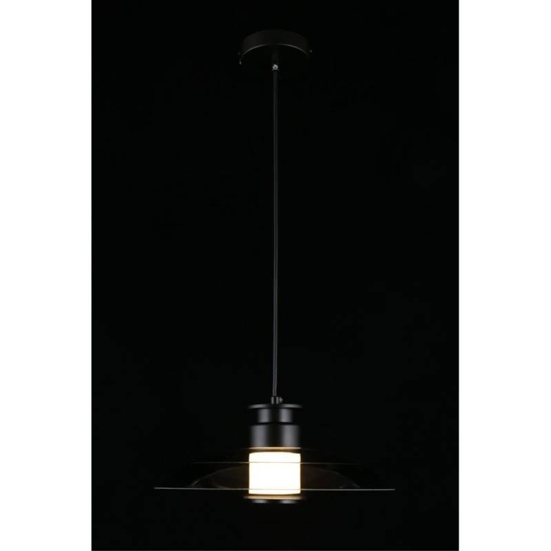 Подвесной светильник APLOYT APL.648.06.10