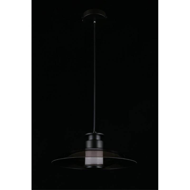 Подвесной светильник APLOYT APL.648.06.10