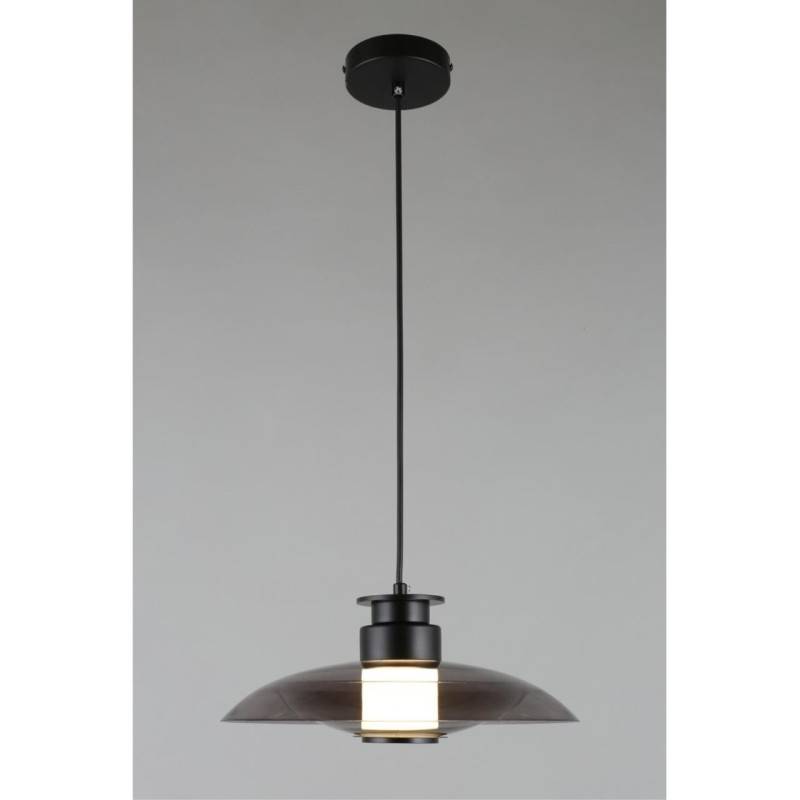 Подвесной светильник APLOYT APL.648.06.10