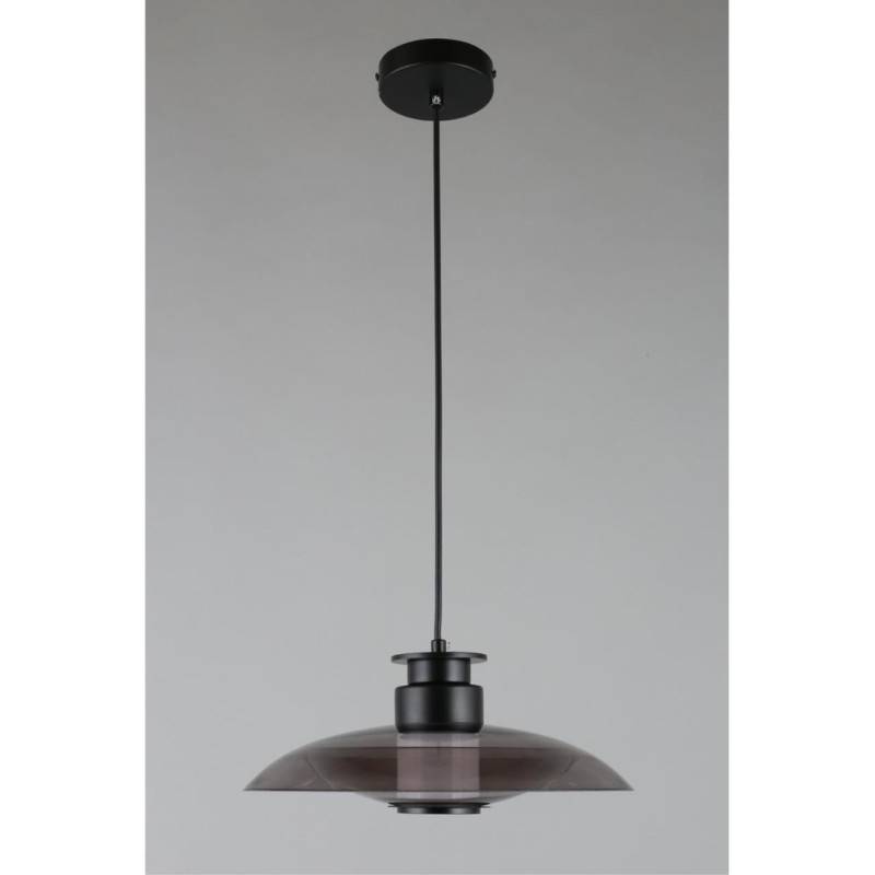 Подвесной светильник APLOYT APL.648.06.10