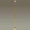 Подвесной светильник Odeon Light 3884/1G