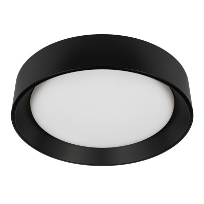 Накладной светильник LOFT IT 10202 BB