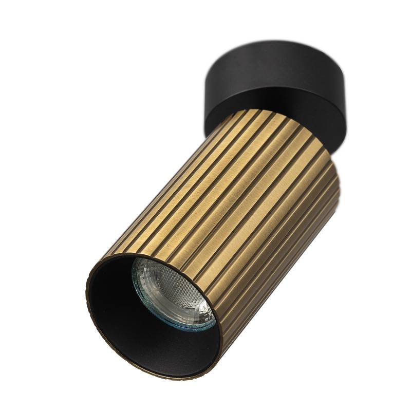 Спот Citilux CL512213R