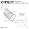 Спот Citilux CL512213R
