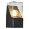 Светильник настенный ST-Luce SL9016.401.01