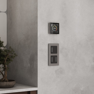 Терморегулятор Werkel W1851104 дымчатый