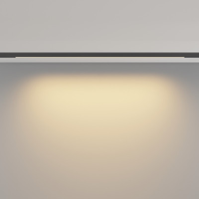 Светильник на шине Maytoni Technical TR190-1-10W2.7K-B