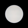 Накладной светильник LOFT IT 10002/24 White