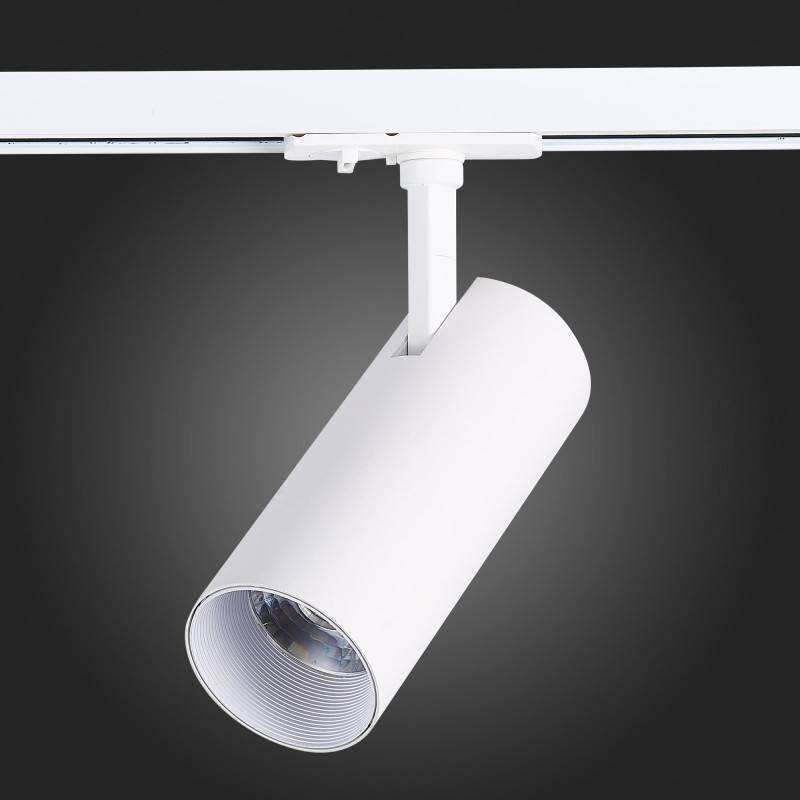 Светильник на шине ST-Luce ST350.546.20.24