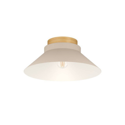 Накладной светильник EGLO 900736