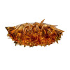 Накладной светильник LOFT IT 10593/780C Gold