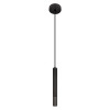 Подвесной светильник LOFT IT 10583C Black
