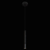 Подвесной светильник LOFT IT 10583C Black