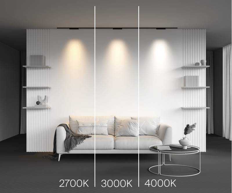 Светильник на шине Maytoni Technical TR193-1-10W4K-M-B