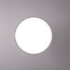 Накладной светильник ImperiumLoft 377315-23