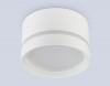 Влагозащищенный светильник Ambrella Light TU5391