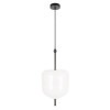 Подвесной светильник LOFT IT 10223/D White