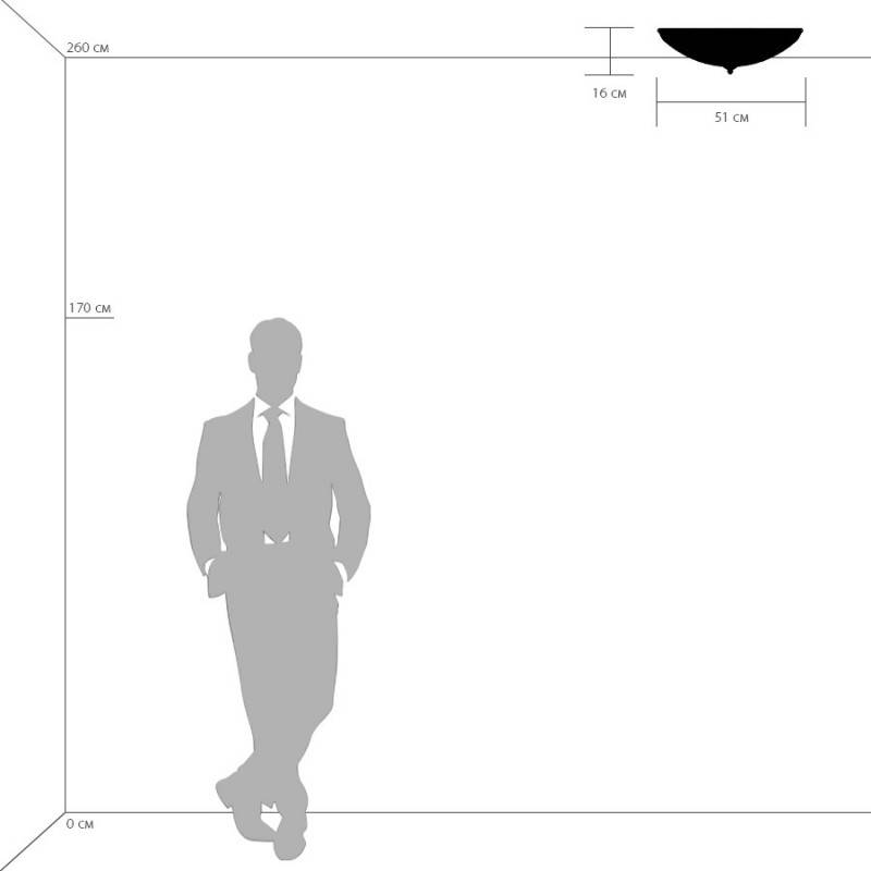 Накладной светильник Lightstar 820264