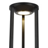 Садово-парковый светильник ST-Luce SL9535.405.01