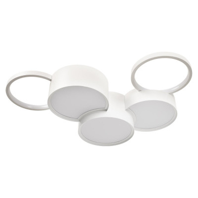 Накладной светильник LOFT IT 10317/5 White