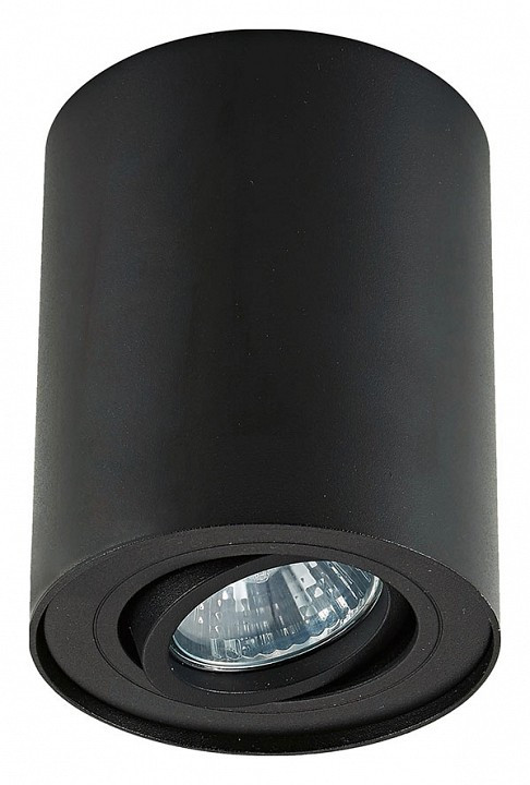 Накладной светильник Zumaline Rondoo 20038-BK