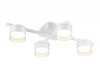 Накладной светильник Ambrella Light FL51661