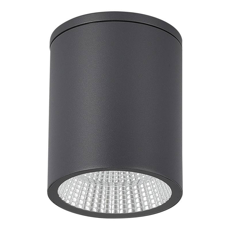 Накладной уличный светильник ST-Luce SL9514.712.01