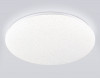 Накладной светильник Ambrella Light FZ1751