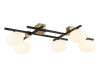 Накладная люстра Ambrella Light LH51015