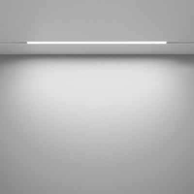 Светильник на шине Maytoni Technical TR030-4-24WTW-DSZ-W