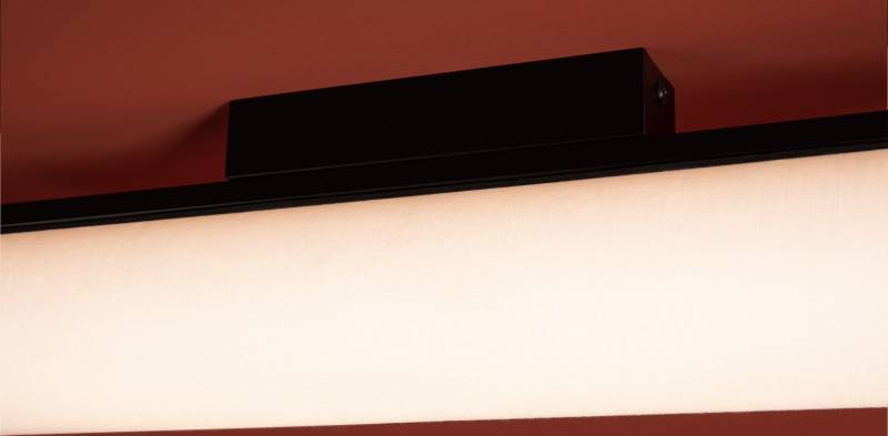 Накладной светильник Freya FR5625CL-L20B