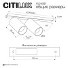 Спот Citilux CL512521