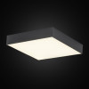 Накладной светильник Citilux CL712X242N