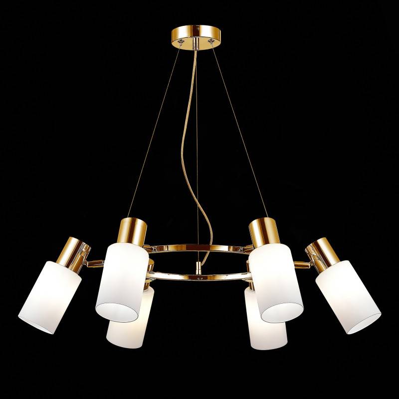 Подвесная люстра Evoluce SLE1139-303-06