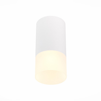 Накладной светильник ST-Luce ST100.512.01