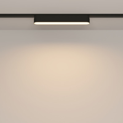 Светильник на шине Maytoni Technical TR080-1-12W3K-B