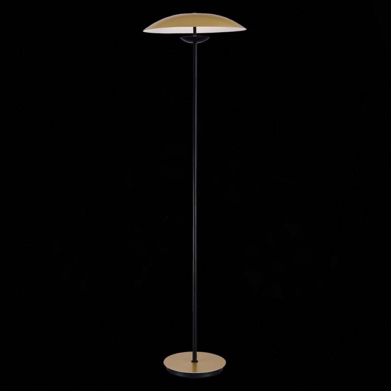 Торшер ST-Luce SL6502.205.01