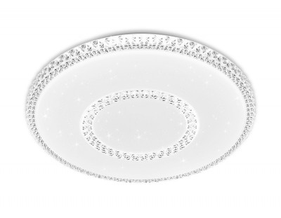 Накладной светильник Ambrella Light FF99