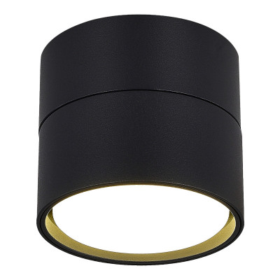 Накладной светильник ST-Luce ST651.402.01