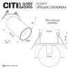 Спот Citilux CL512D11