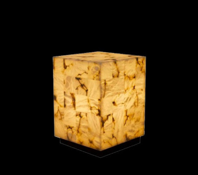 Торшер Fluorite FL1044-9F