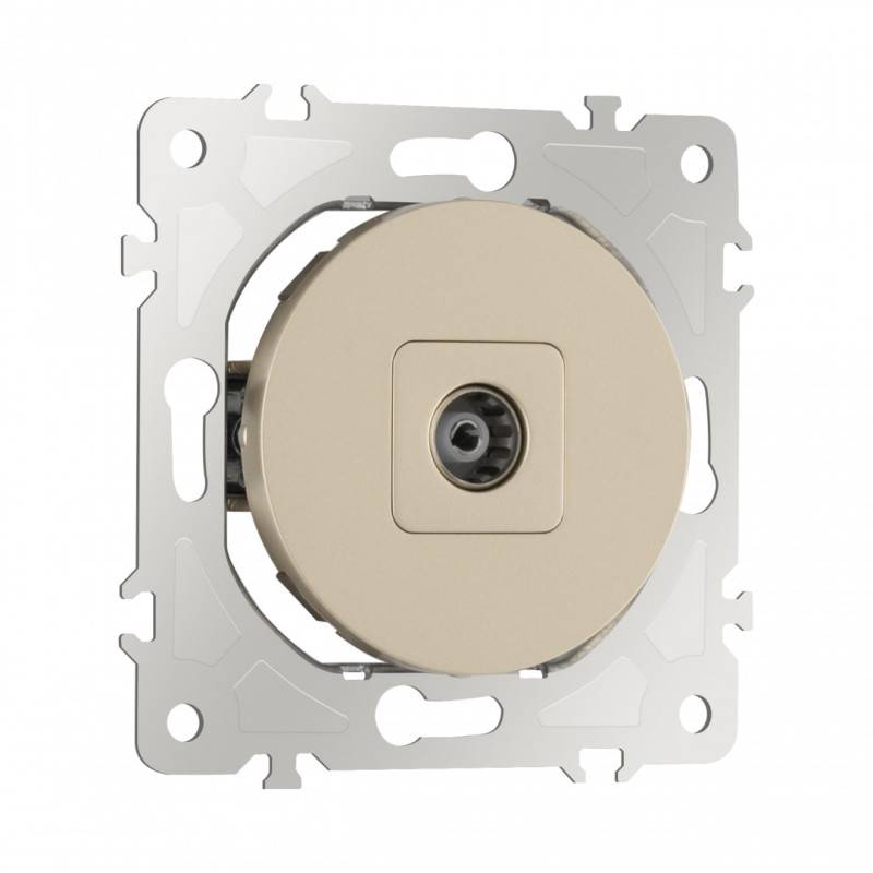 Розетка Arte Milano 202.43-1.shampan