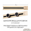 Трековая система розеток Arte Milano 385205TBB/50 Gold