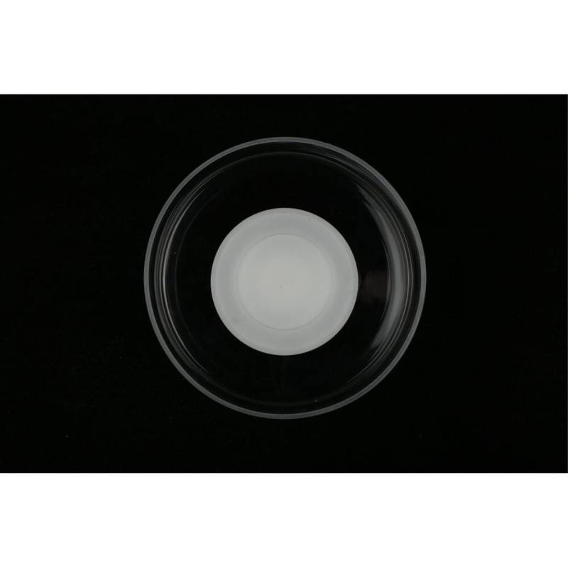 Бра APLOYT APL.341.11.06