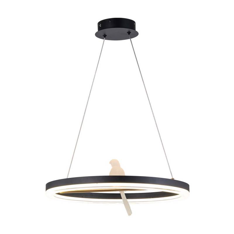 Подвесной светильник F-Promo 4654-1P