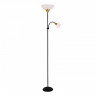 Торшер ARTE Lamp A9569PN-2BK
