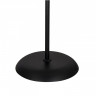 Торшер ARTE Lamp A9569PN-2BK
