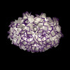 Накладной светильник LOFT IT 10231/780C Purple